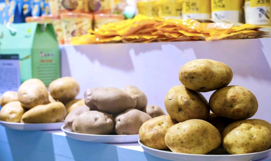 宁夏固原特色农文旅亮相深圳 食品集中加工受瞩目