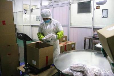 桂林平乐 | 新年新气象，平乐县工业集中区热火朝天 食品集中加工谱写新篇