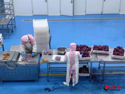 打造乡村振兴山区新样板丨潍坊临朐:引领"食"尚!法式鹅肝从沂蒙山区走向世界